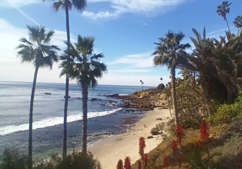 471981269_1405161844194752_8525782515557526742_n