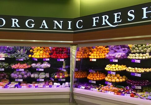 organic-1341558__340